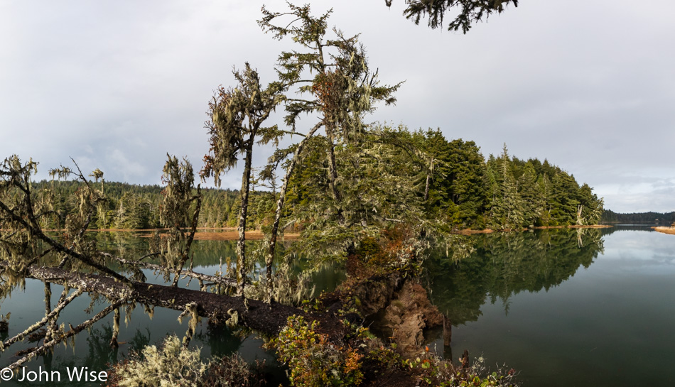 South Slough National Estuarine Research Reserve in Charleston, Oregon