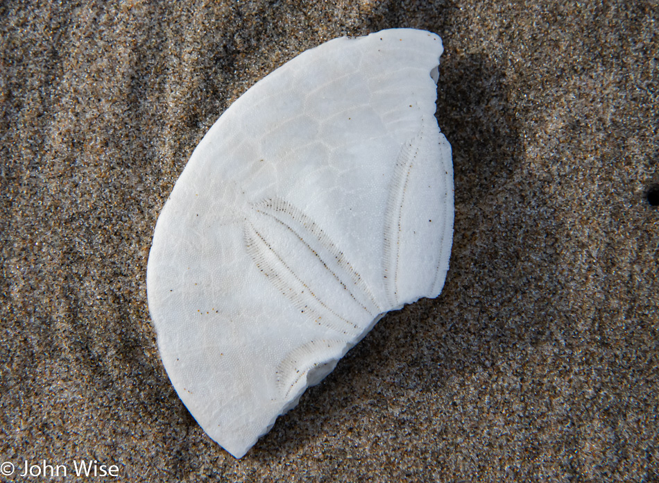 Manhattan Beach, Oregon in Tillamook County