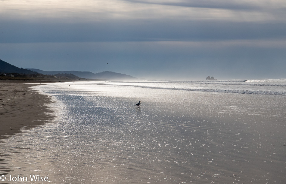 Manhattan Beach, Oregon in Tillamook County