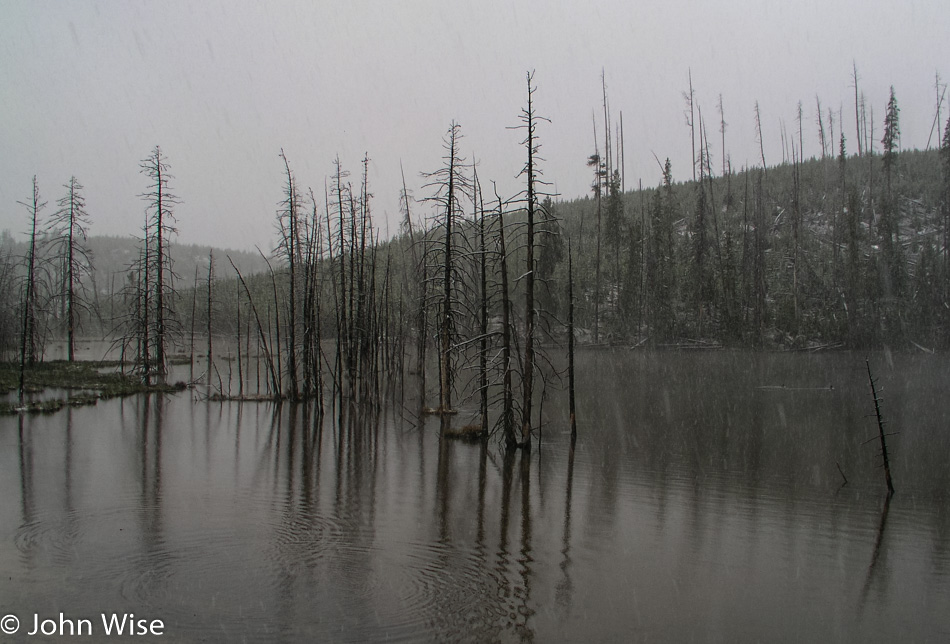 Yellowstone National Park