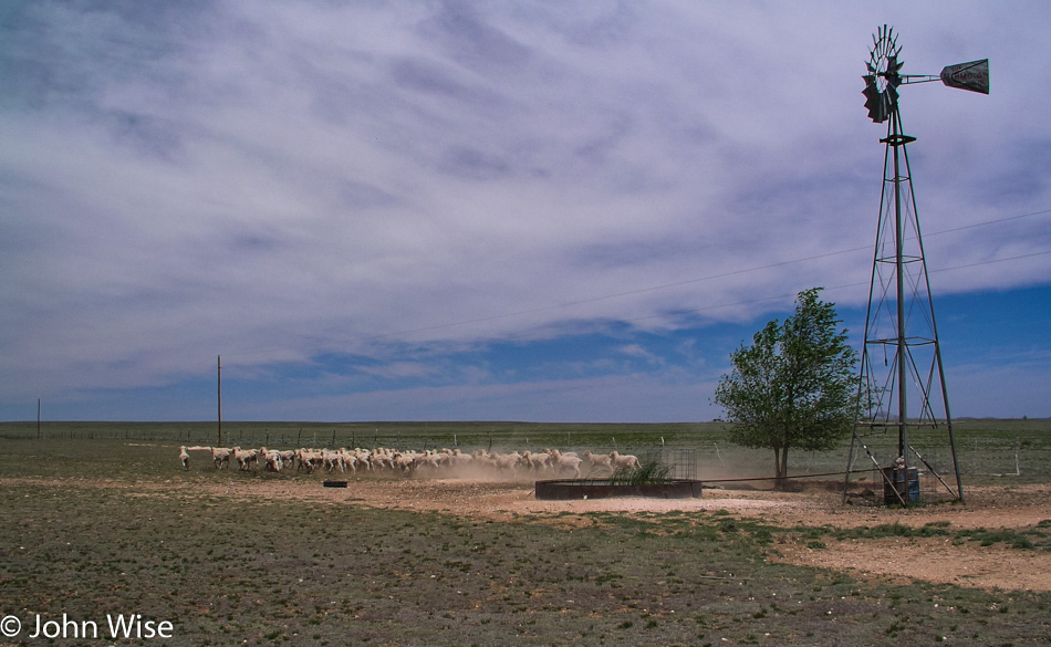 Rural New Mexico