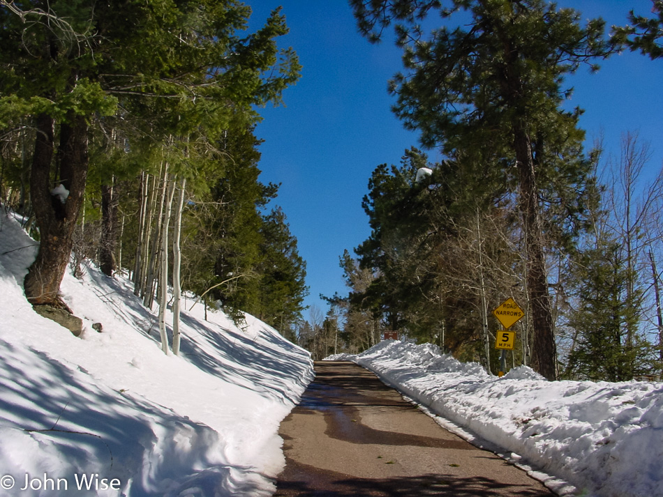 Snow on the Coronado Scenic Byway in Arizona