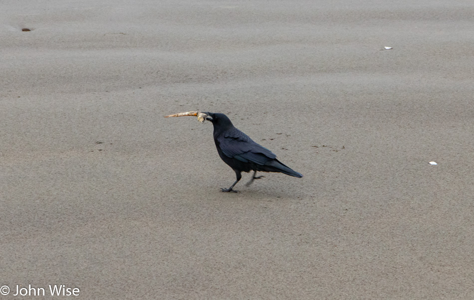 Seaside Beach in Oregon