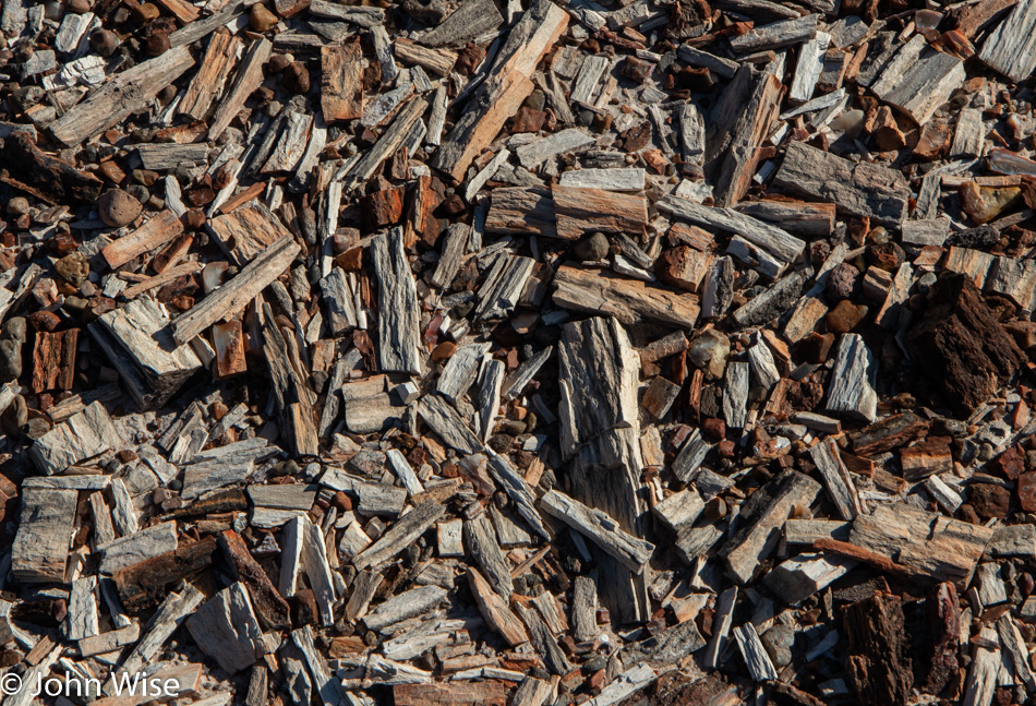 Petrified Forest National Park in Arizona