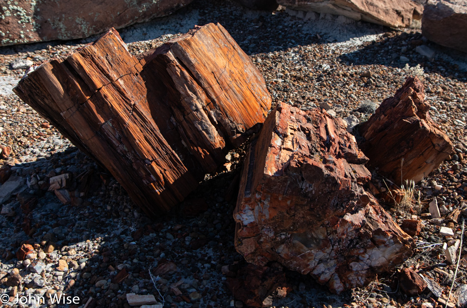 Petrified Forest National Park in Arizona