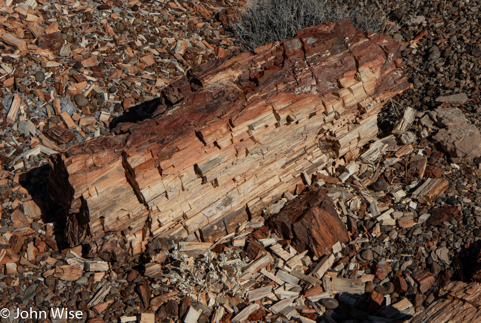 Petrified Forest National Park in Arizona