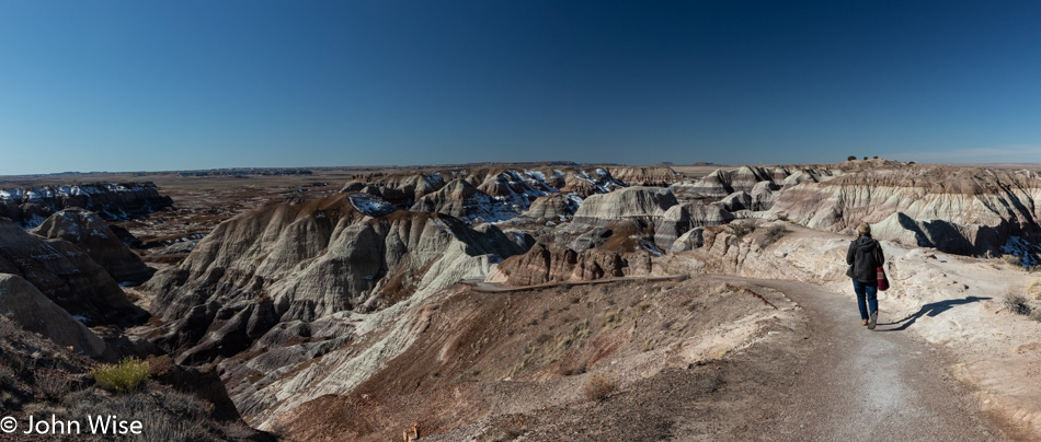 Petrified Forest National Park in Arizona