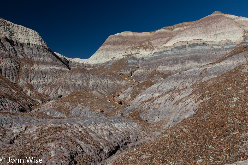 Petrified Forest National Park in Arizona