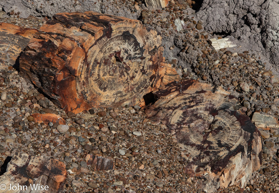 Petrified Forest National Park in Arizona