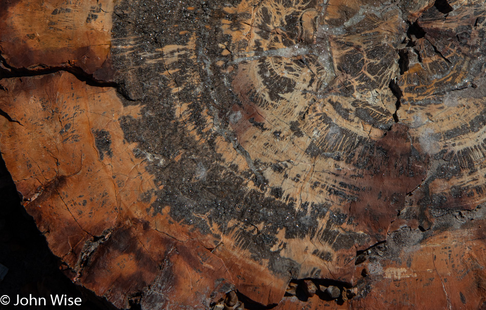 Petrified Forest National Park in Arizona