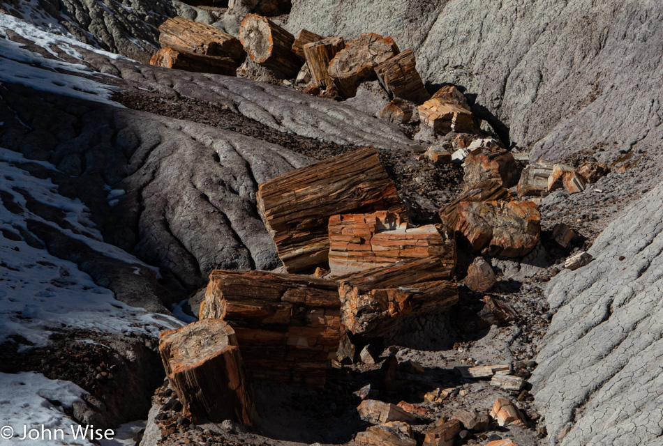 Petrified Forest National Park in Arizona