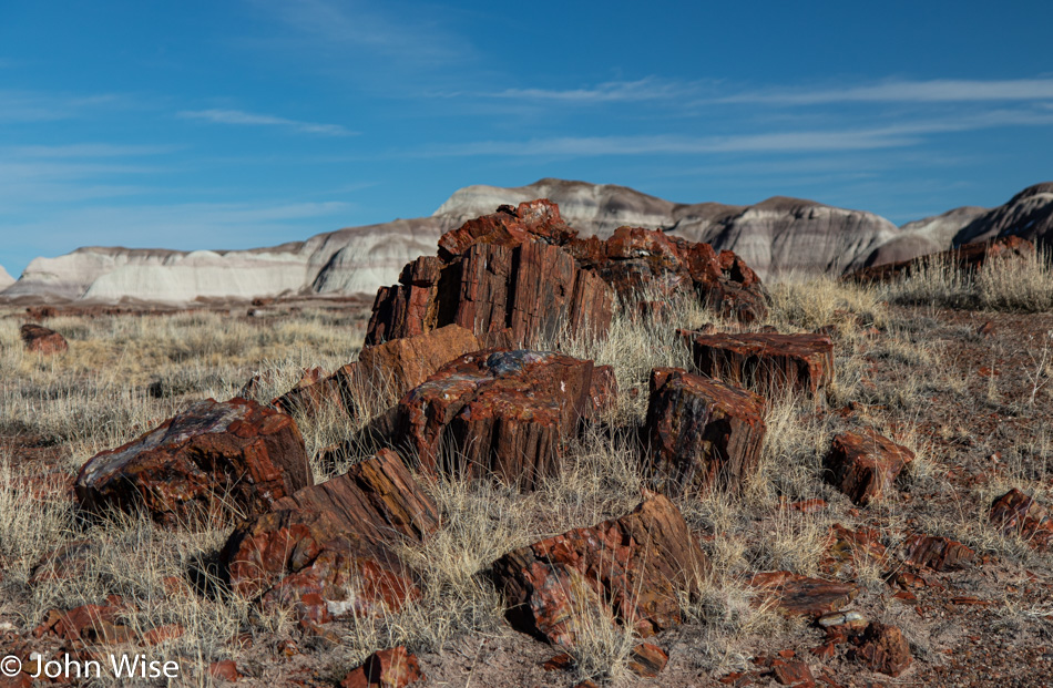 Petrified Forest National Park in Arizona