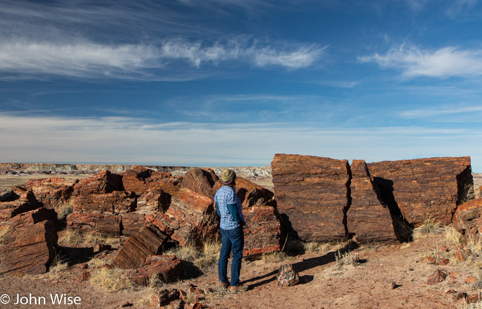 Caroline Wise at Petrified Forest National Park in Arizona
