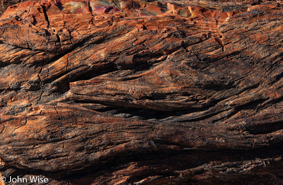 Petrified Forest National Park in Arizona