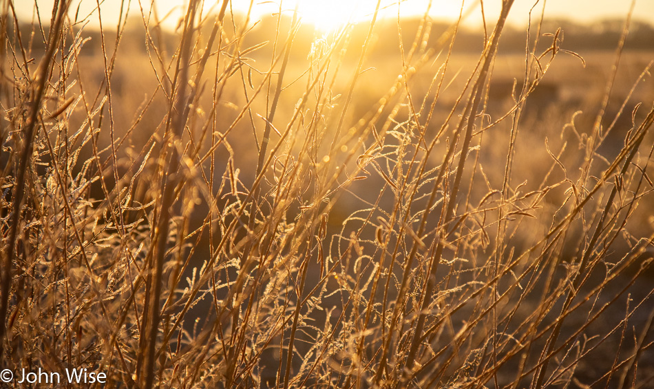 Along the Gila River in Duncan, Arizona