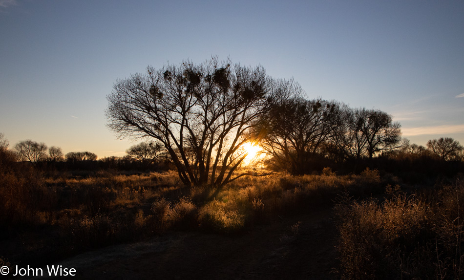 Next to the Gila River in Duncan, Arizona