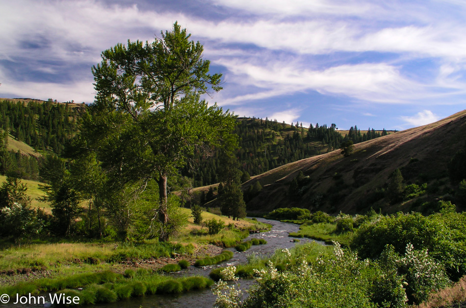 Somewhere in Oregon