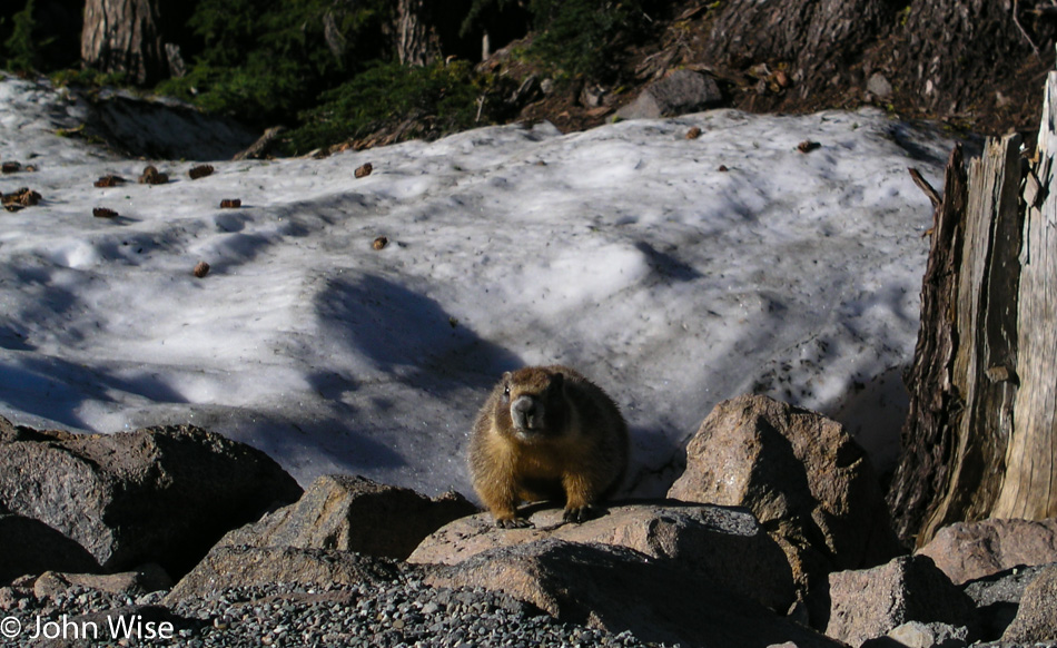 Lassen Volcanic National Park in California