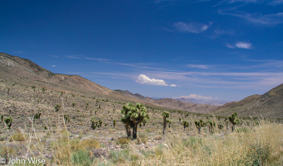 Death Valley Rd from Bishop into the National Park in California