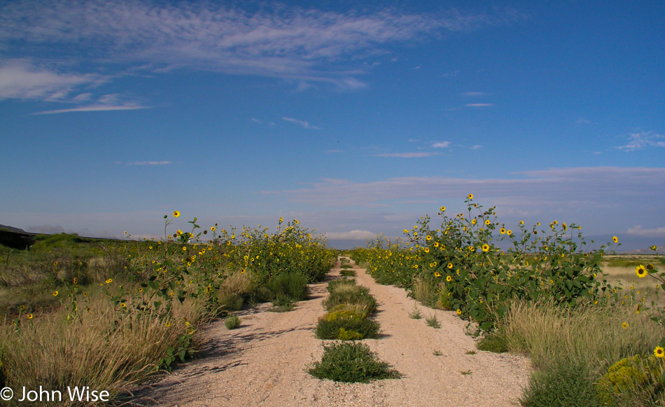 Old Route 66 near Montoya, New Mexico