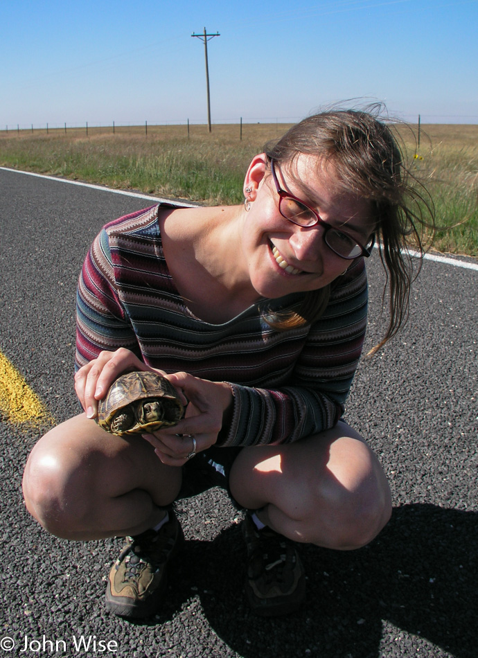 Caroline Wise and Tortoise on NM-402 near Amistad, New Mexico