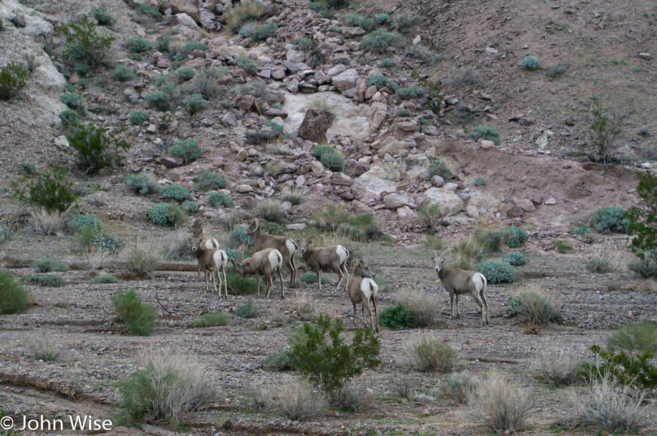 Death Valley National Park in California