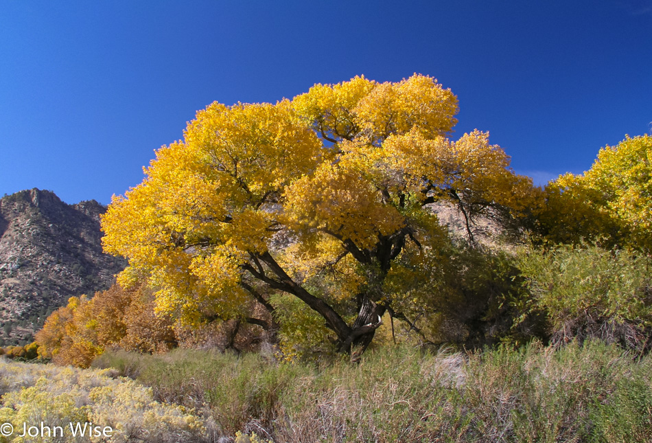 California central valley