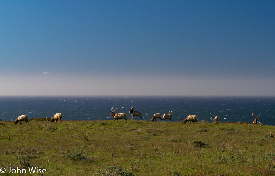 Point Reyes National Seashore in Northern California Coast