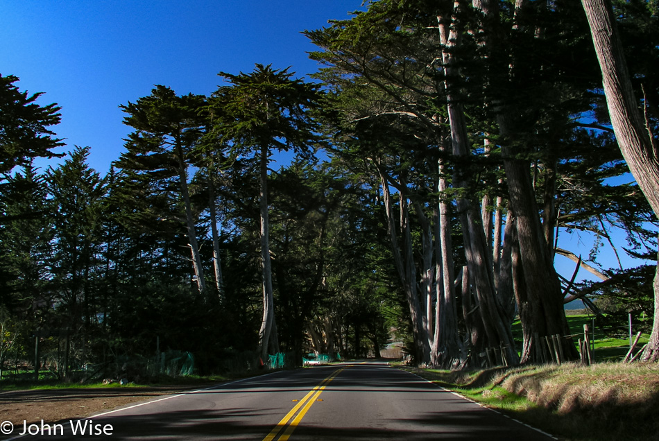 Northern California Coast