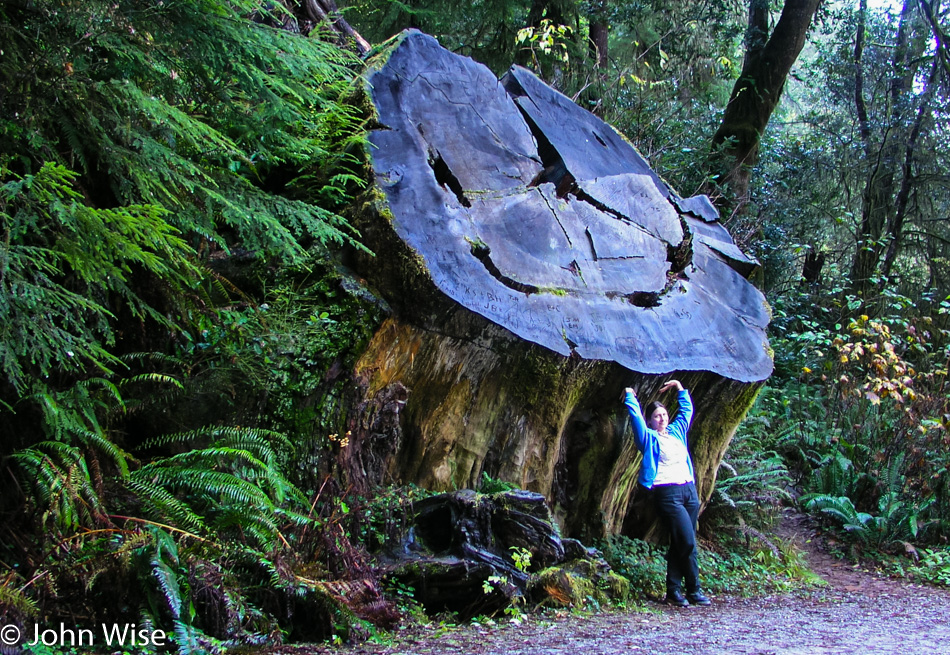 Caroline Wise at Redwoods National Park, California