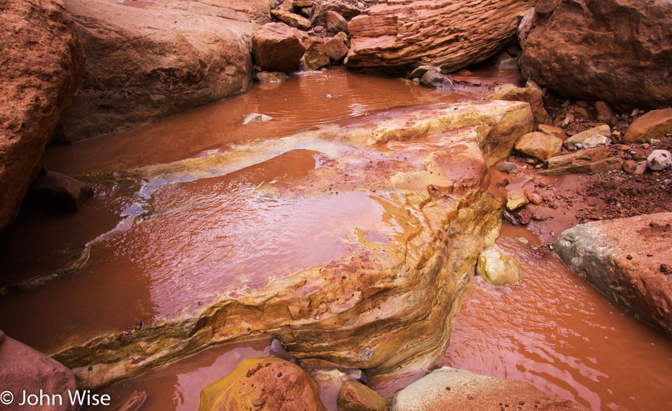 Muddy water in the Grand Canyon next to the Colorado River