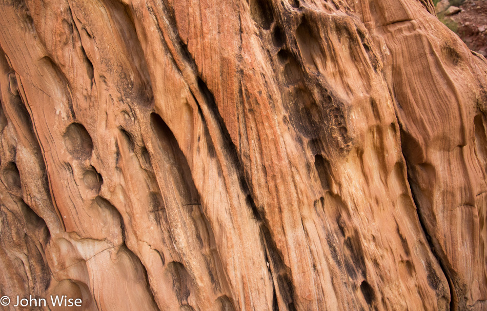 Rock detail near the Colorado River in the Grand Canyon