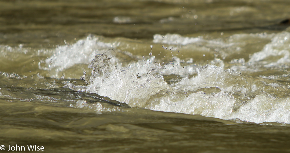 On the Colorado River in the Grand Canyon