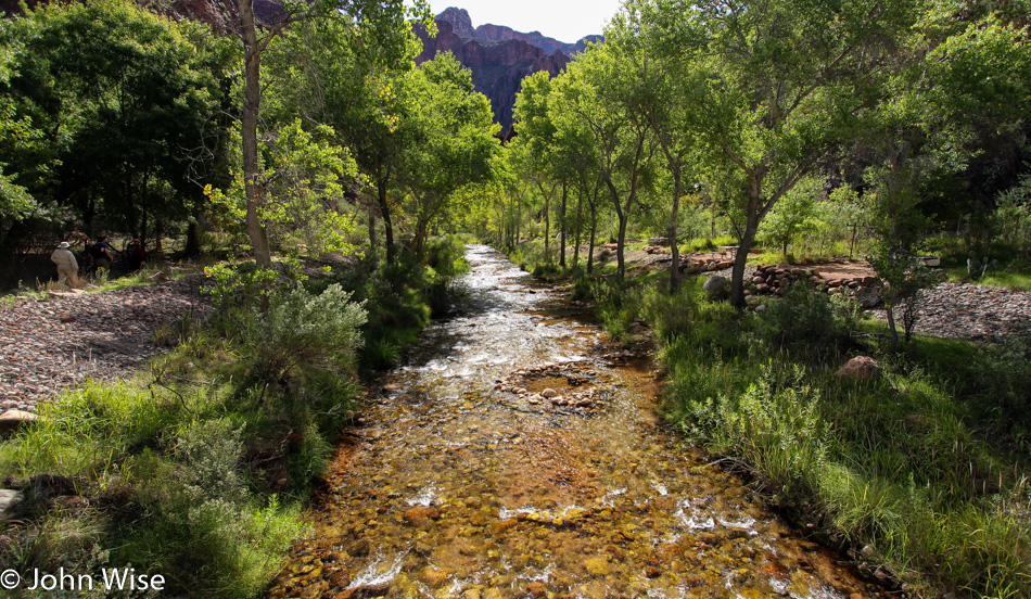 Bright Angel Creek in the Grand Canyon