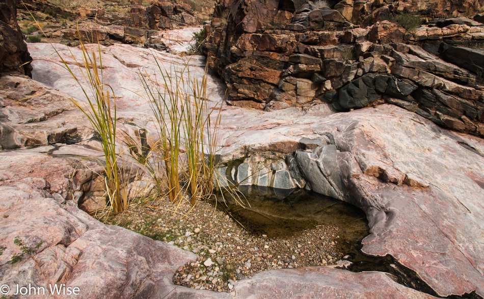 Side Canyon near Granite Park Camp in the Grand Canyon