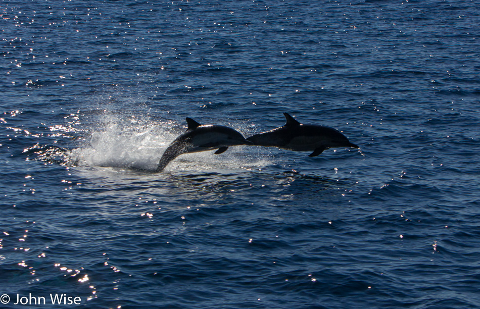 On the Pacific Ocean in Southern California