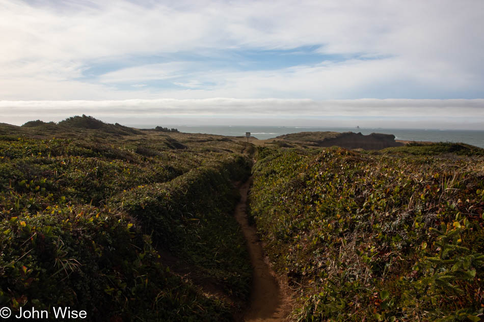 Otter Point in Gold Beach, Oregon