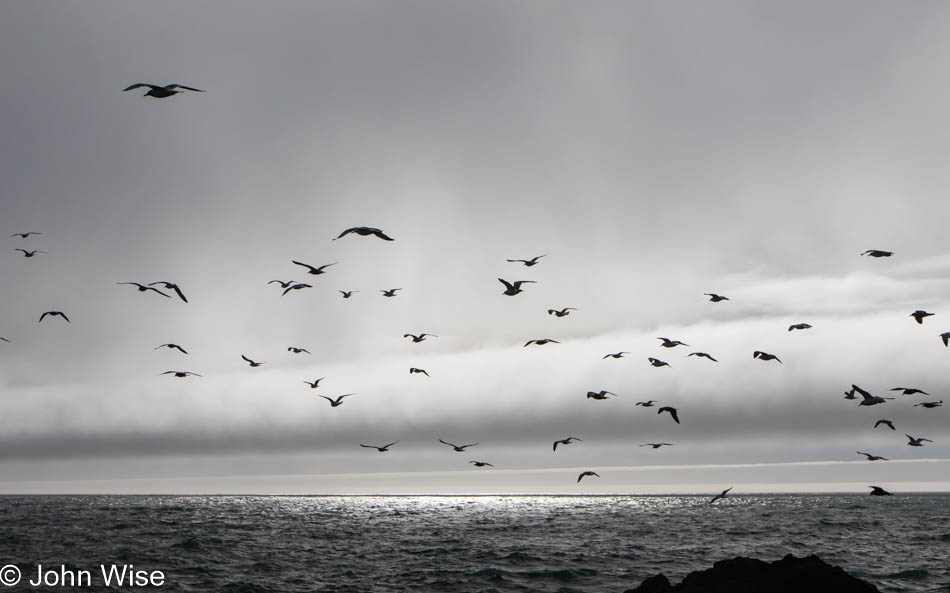 At the dock in Port Orford, Oregon