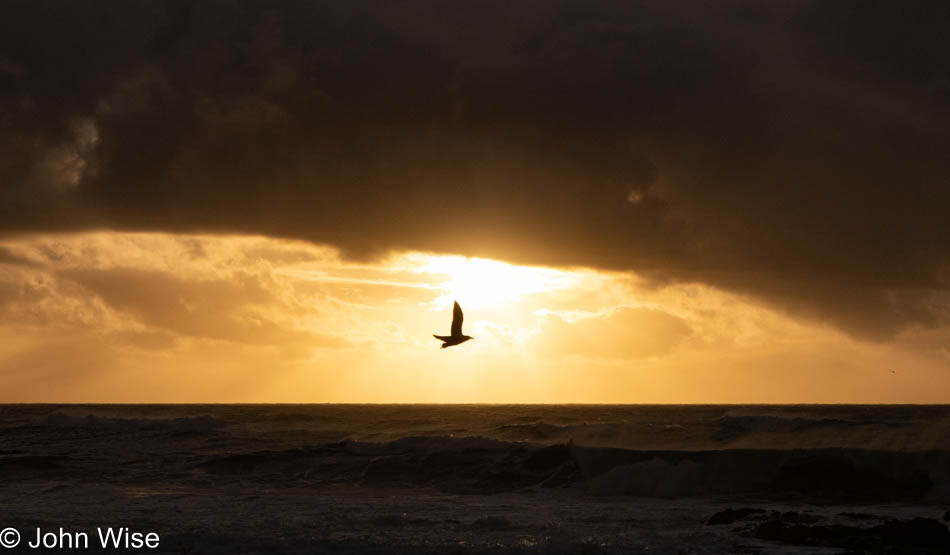 Sunset at Strawberry Hill on the Oregon Coast