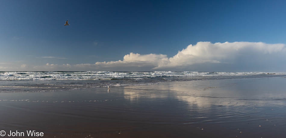 Carl Washburne State Park on the Oregon Coast