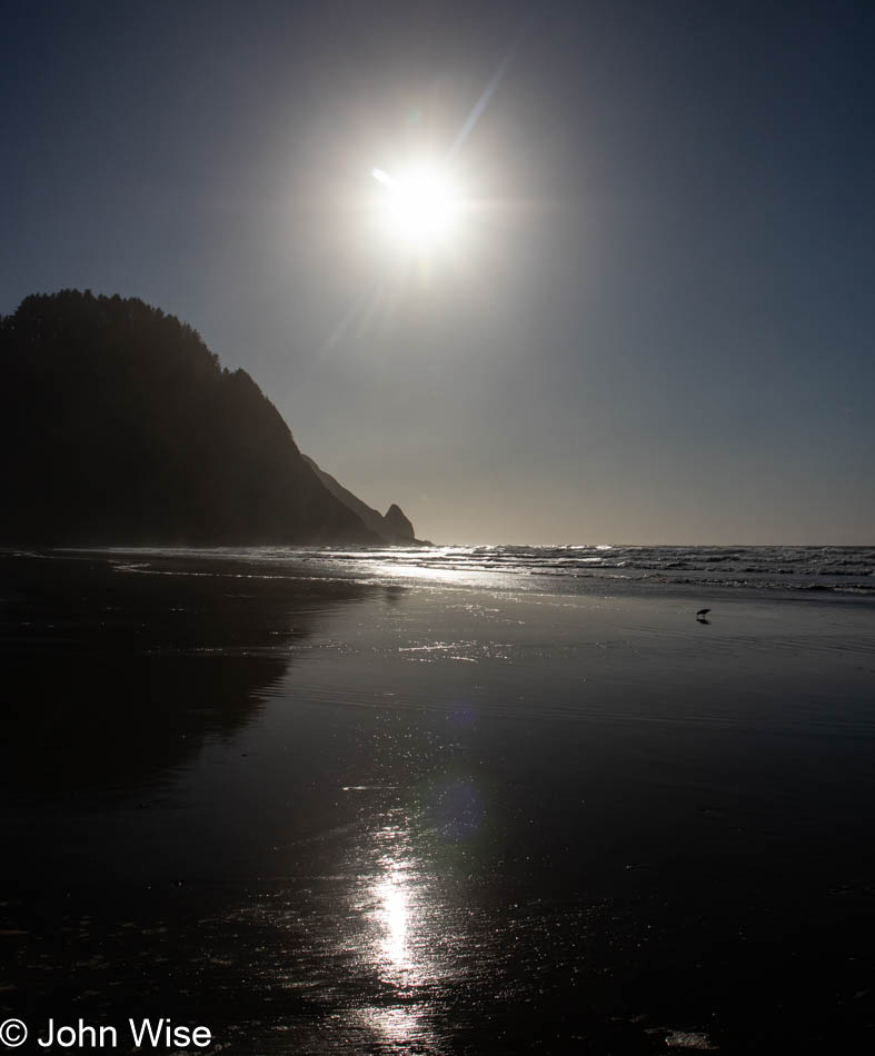 Carl Washburne State Park on the Oregon Coast