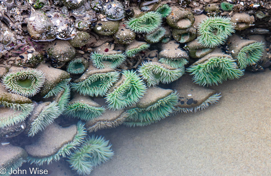 Moolack Beach in Newport, Oregon