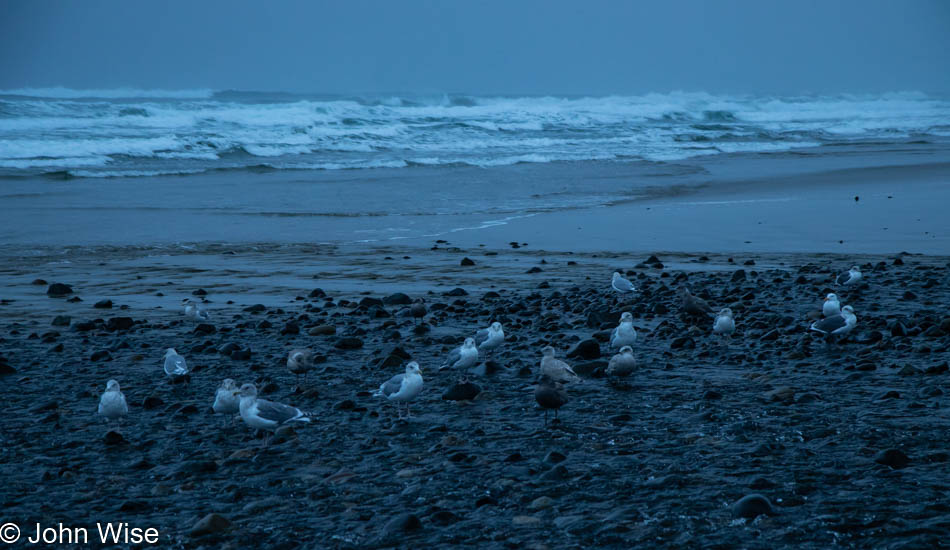 Moolack Beach in Newport, Oregon