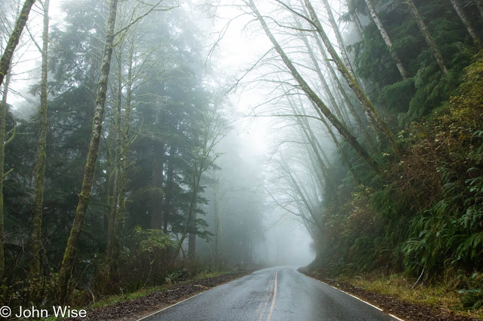 Cape Lookout south of Netarts, Oregon