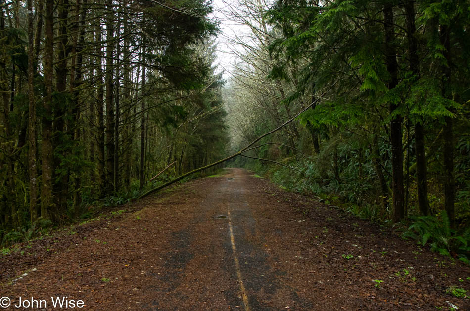 Defunct road near Cape Mears, Oregon