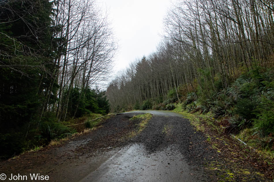 Defunct road near Cape Mears, Oregon