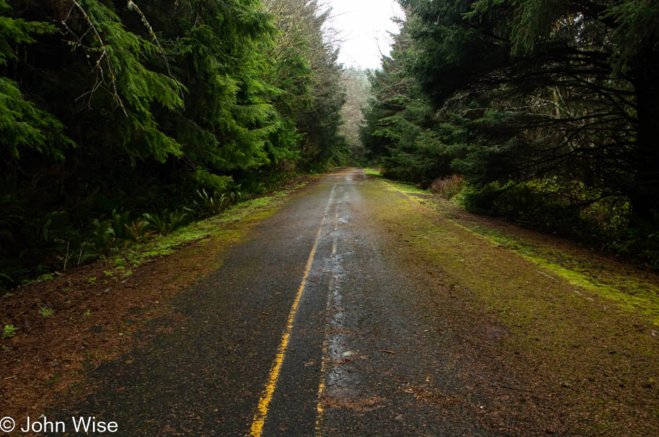 Defunct road near Cape Mears, Oregon