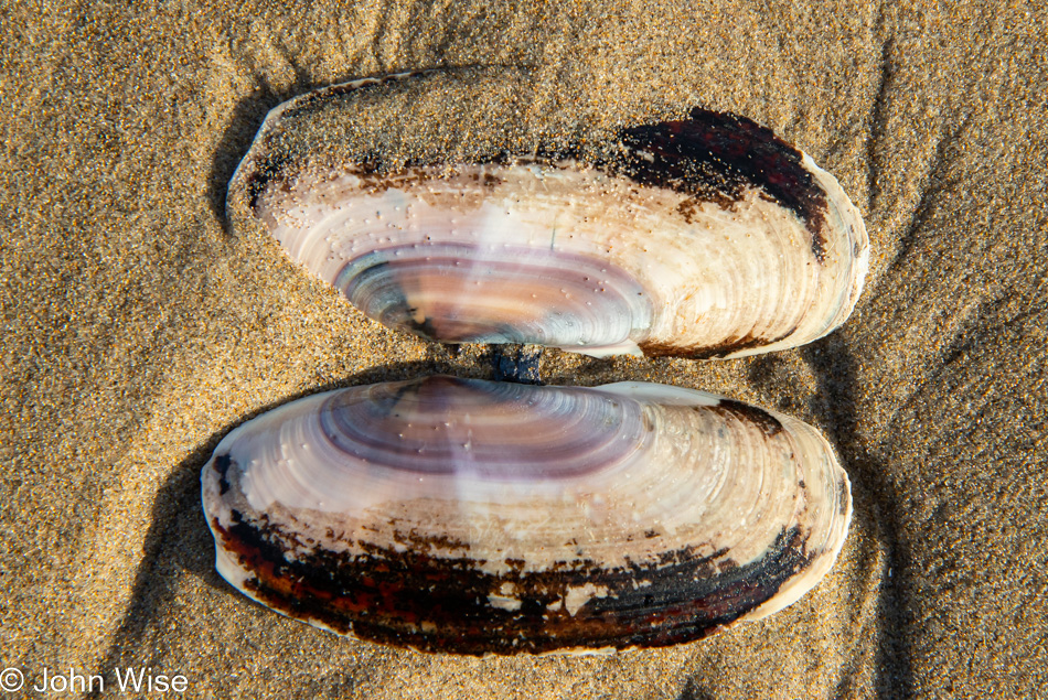 Manzanita Beach in Oregon