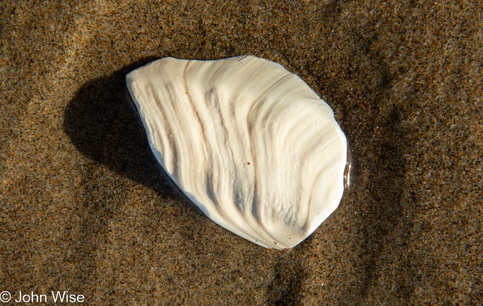 Manzanita Beach in Oregon