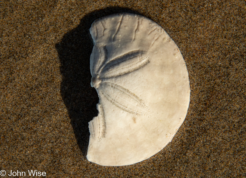 Manzanita Beach in Oregon